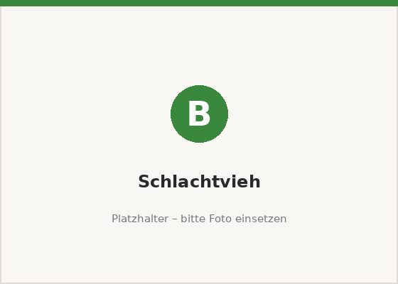 Schlachtvieh